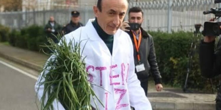 Nga dash tek dele, nga dashnor tek dashnore