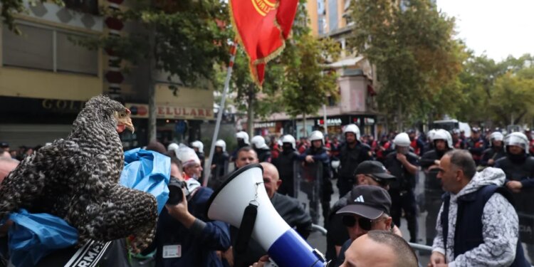 PD e kënaqur me aksionin sot në protestë, zbulohet mesazhi në strukturat: Ishim shumë mirë, por…