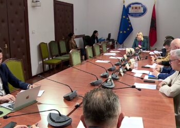 PD, thirrje Braçes e Sinajt: kërkon votën kundër reformës territoriale, debat me socialistët në komision