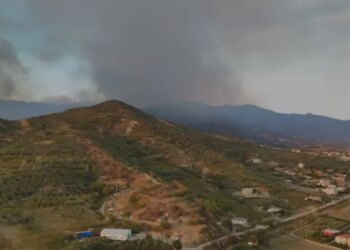 Pas një nate të vështirë, ndërhyrja nga toka dhe ajri frenon zjarrin që rrezikonte banesat në Peqin