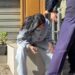 Përshkallëzohet protesta në Lezhë, gurët e hedhur drejt Policisë plagosin në fytyrë një nxënëse