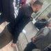 Protestuesit e arrestuar, priten sot 59 masa sigurie; prindërit para gjykatës për të mësuar fatin e fëmijëve