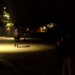 Protestuesit hedhin molotovë ndaj selisë së PS-së; policia përgjigjet me gaz lotsjellës
