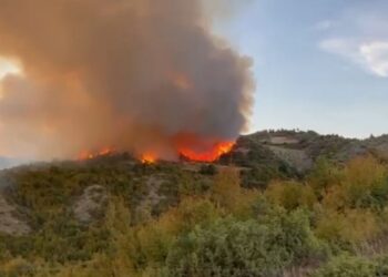 Situatë alarmante në Peqin: ndërhyrja ajrore nuk e mban kontrollin, era e fortë dhe terreni e favorizojnë