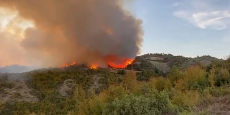 Situatë alarmante në Peqin: ndërhyrja ajrore nuk e mban kontrollin, era e fortë dhe terreni e favorizojnë