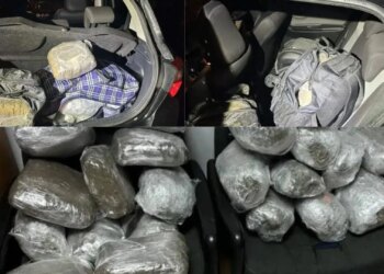 Tre shqiptarë kapen në Greqi me 36 kg marijuanë, dyshohet se u nisën nga Saranda