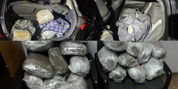 Tre shqiptarë kapen në Greqi me 36 kg marijuanë, dyshohet se u nisën nga Saranda
