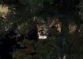 Video/ Pamje prekëse nga ngjarja e rëndë në Tiranë: momenti kur i biri i viktimës kërkon të atin