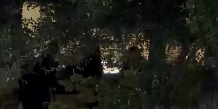 Video/ Pamje prekëse nga ngjarja e rëndë në Tiranë: momenti kur i biri i viktimës kërkon të atin