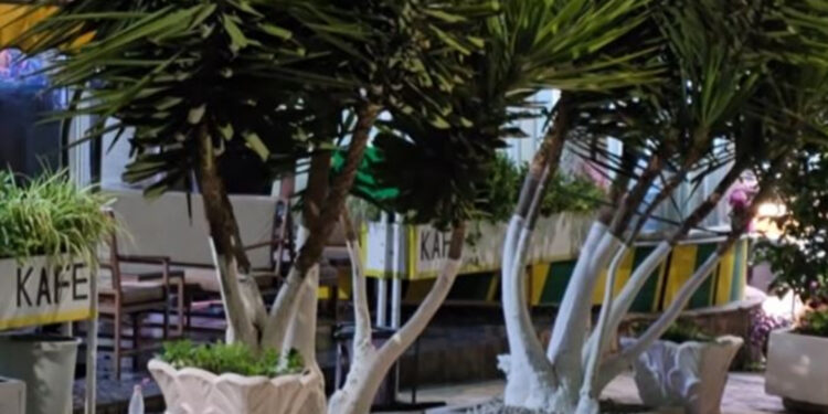Vrasja në Sarandë, dy në pranga: Kapet në Greqi autori i dyshuar i 66-vjeçarit, arrestohet bashkëpunëtori