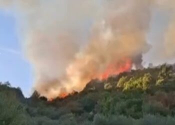 Zjarr i madh në fshatin Haspiraj të Peqinit, aktiv prej tre orësh dhe po digjet pylli