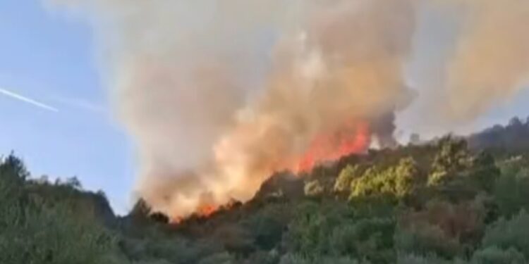 Zjarr i madh në fshatin Haspiraj të Peqinit, aktiv prej tre orësh dhe po digjet pylli