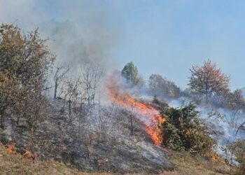 Zjarr në Kollovoz të Kukësit, zjarrfikësit luftojnë flakët