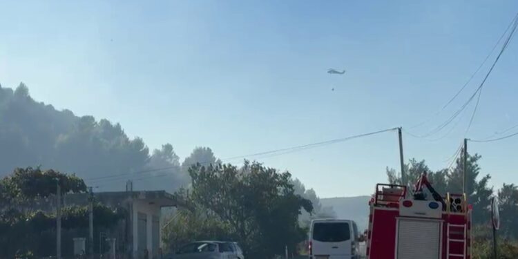 Zjarri në malin e Manatisë: era favorizon përhapjen e flakëve, ndërhyhet nga ajri me helikopter