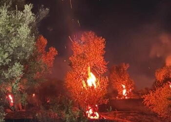 Zjarri përfshin Bestrovën me tre vatra aktive dhe dëme të konsiderueshme në ullinj; dyshohet zjarrvënie e qëllimshme