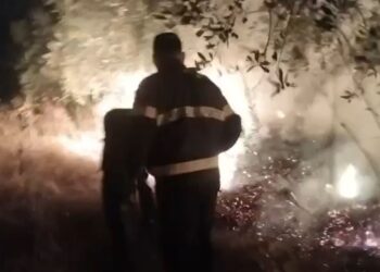Zjarri përfshin zona të mëdha në fshatrat Galush e Gjevur të Peqinit, frikë për banesat