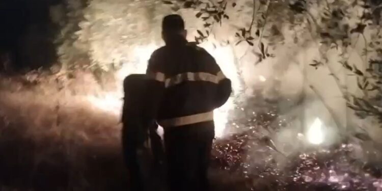 Zjarri përfshin zona të mëdha në fshatrat Galush e Gjevur të Peqinit, frikë për banesat