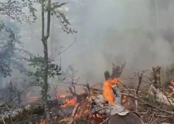 Zjarri vazhdon prej disa ditësh në Gjinar të Elbasanit; banorët kërkojnë ndërhyrje ajrore për përhapjen e flakëve